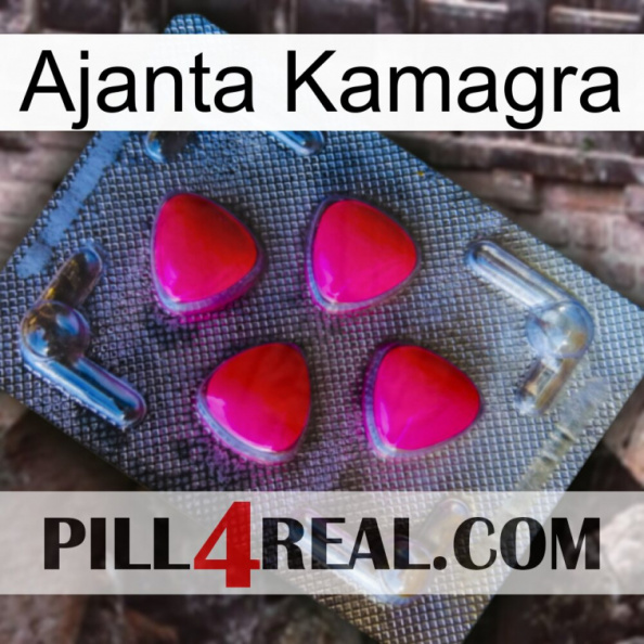 Ajanta Kamagra 13